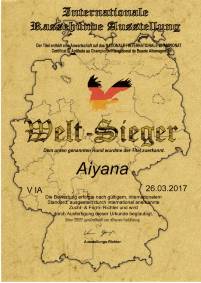 Aiyana 170326 Urkunde Welt-Sieger