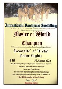 Beanaite 220130 Master of World Champion
