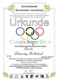 Emy 170520 Urkunde Olympia Sieger Schau