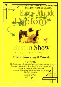 Emy 170715 Urkunde Best in Show