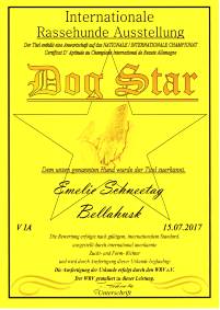 Emy 170715 Urkunde Dog Star