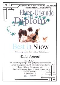 Tala 170520 Urkunde Best in Show