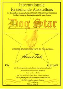 Tala 170715 Urkunde Dog Star